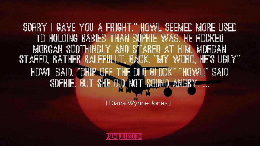 Cammie Morgan quotes by Diana Wynne Jones