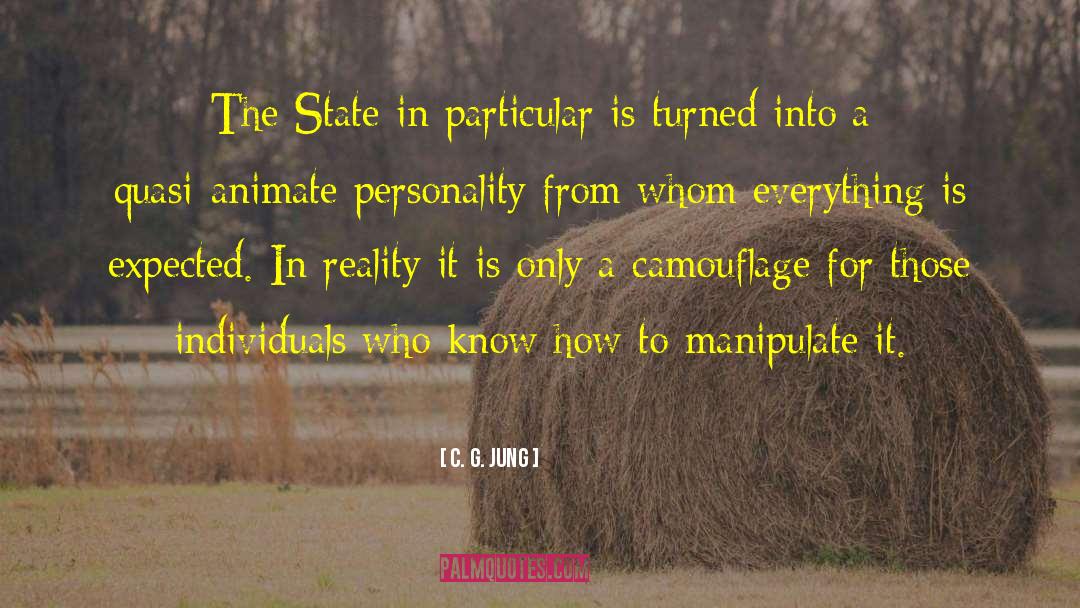 Camouflage quotes by C. G. Jung