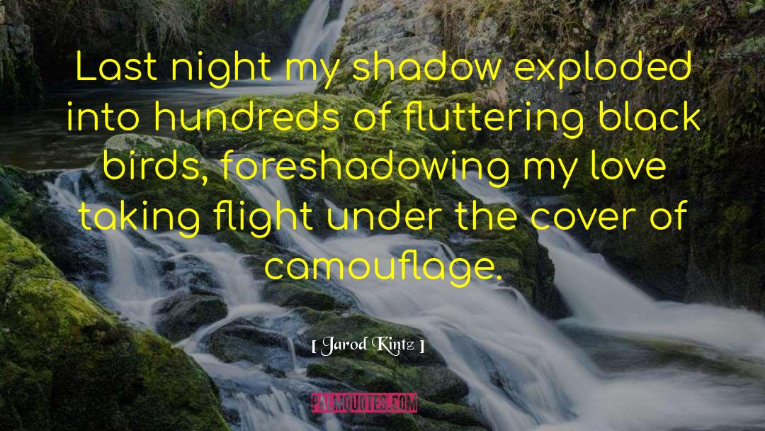 Camouflage quotes by Jarod Kintz