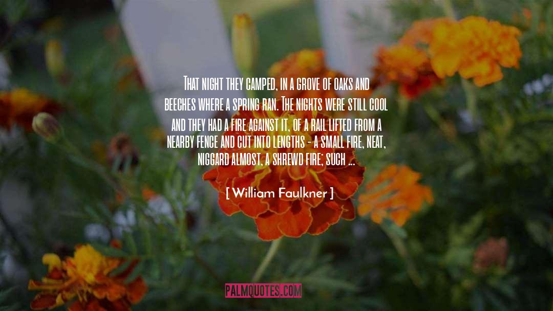 Camped quotes by William Faulkner