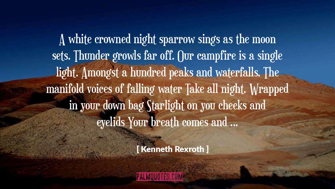 Campfire quotes by Kenneth Rexroth