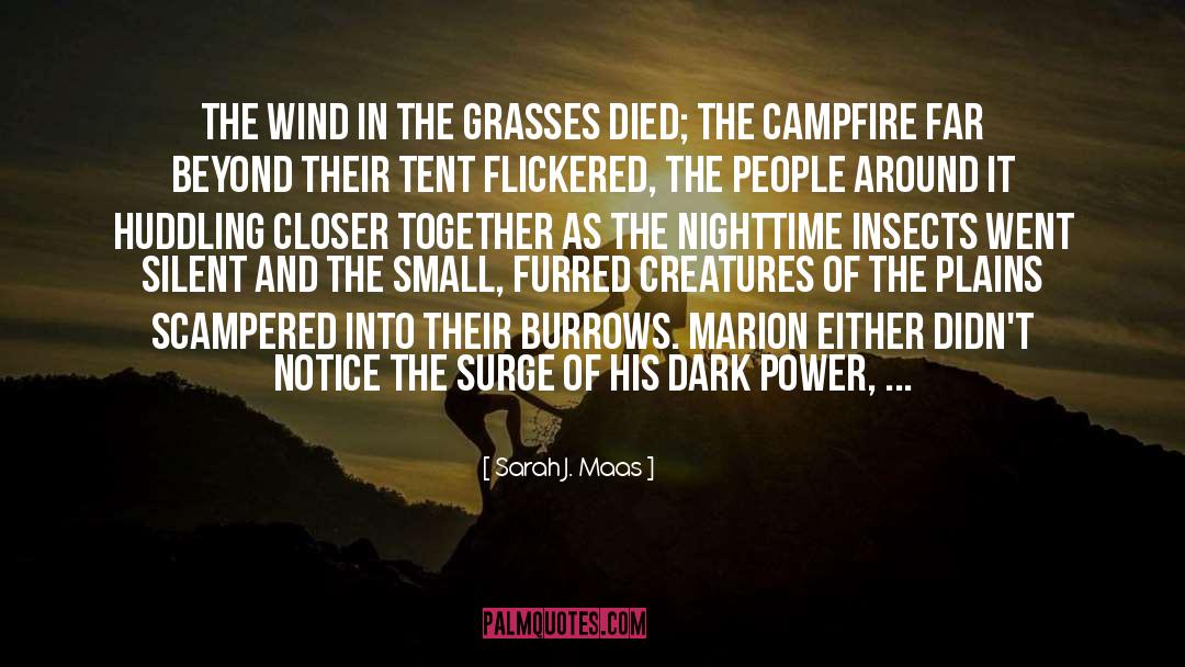 Campfire quotes by Sarah J. Maas