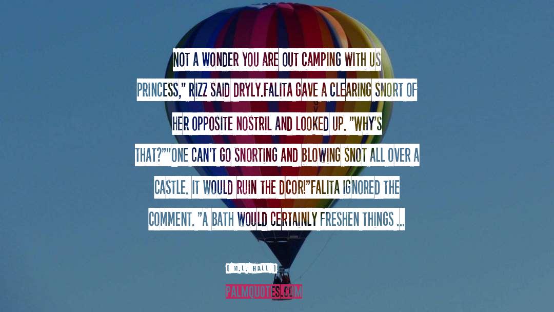 Camping quotes by M.L. Hall