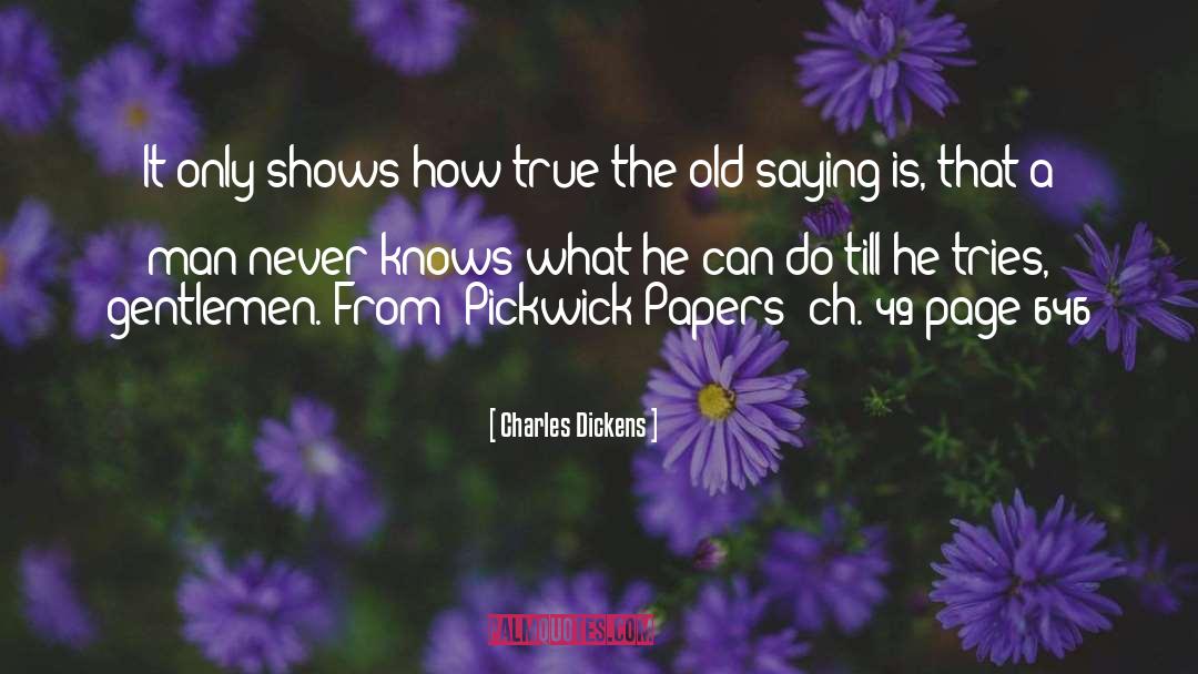 Can Do quotes by Charles Dickens