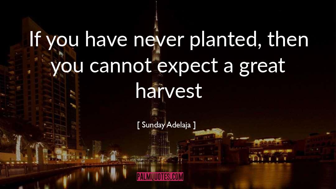Can T Reap A Harvest quotes by Sunday Adelaja