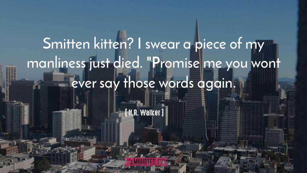 Can You Promise Me quotes by N.R. Walker