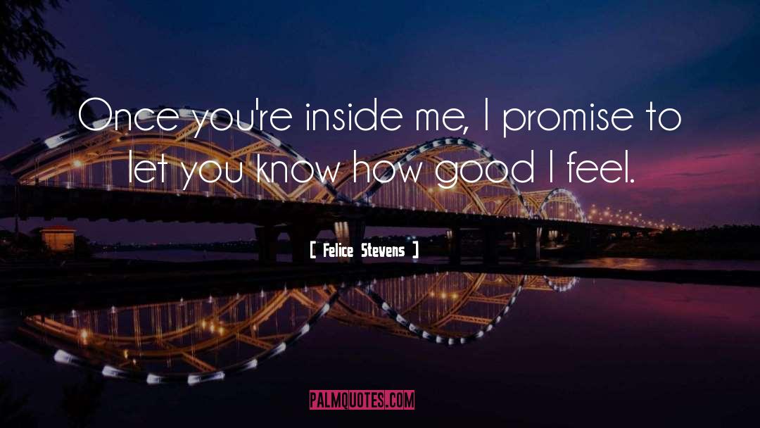 Can You Promise Me quotes by Felice Stevens