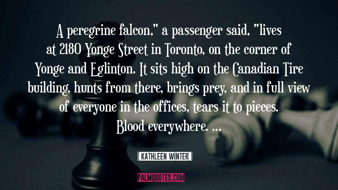 Canadian Multiculturalism quotes by Kathleen Winter