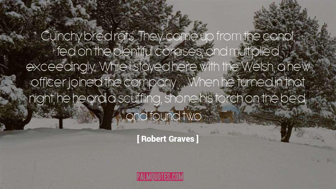 Canal quotes by Robert Graves