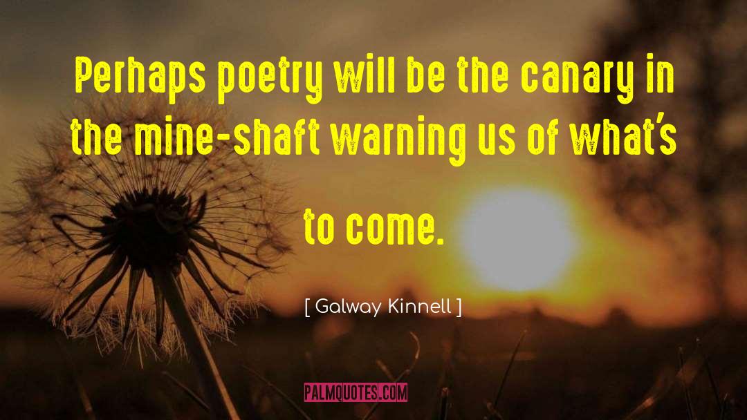 Canary quotes by Galway Kinnell