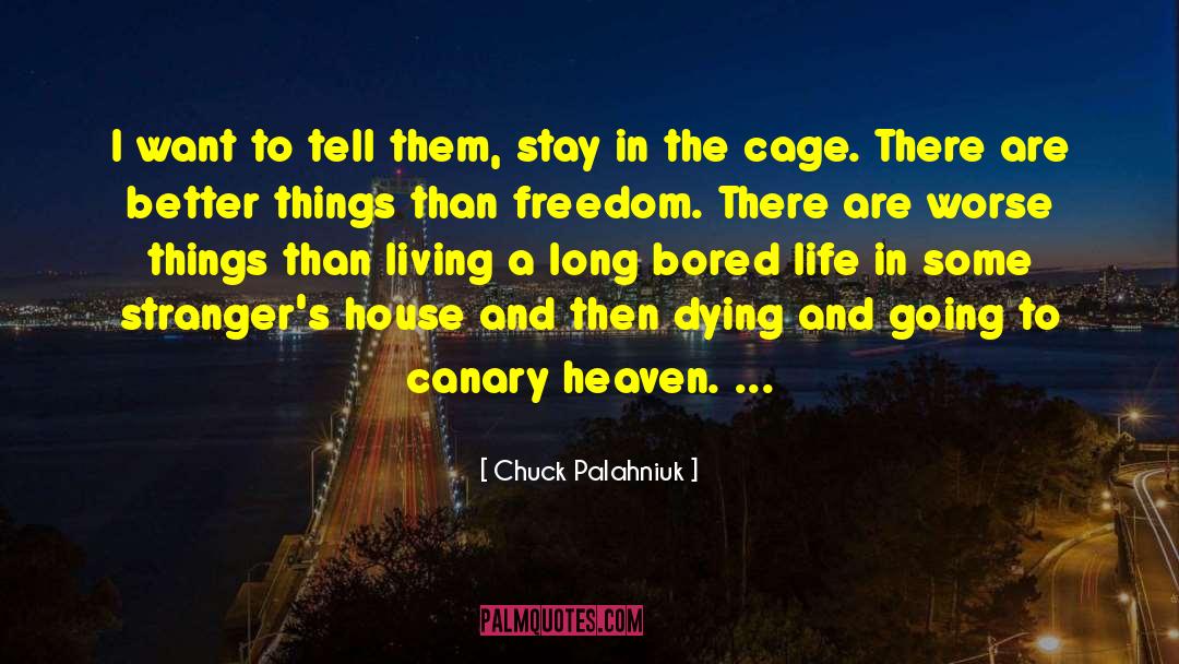 Canary quotes by Chuck Palahniuk