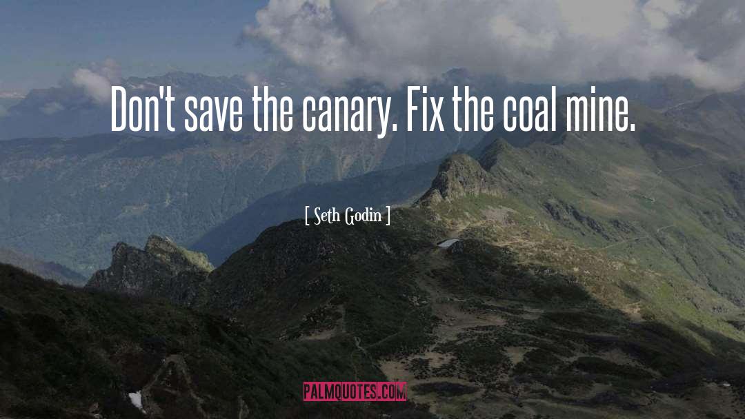 Canary quotes by Seth Godin