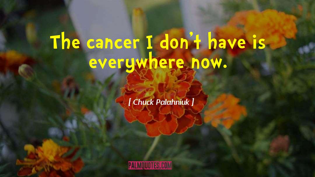 Cancer Chemo quotes by Chuck Palahniuk