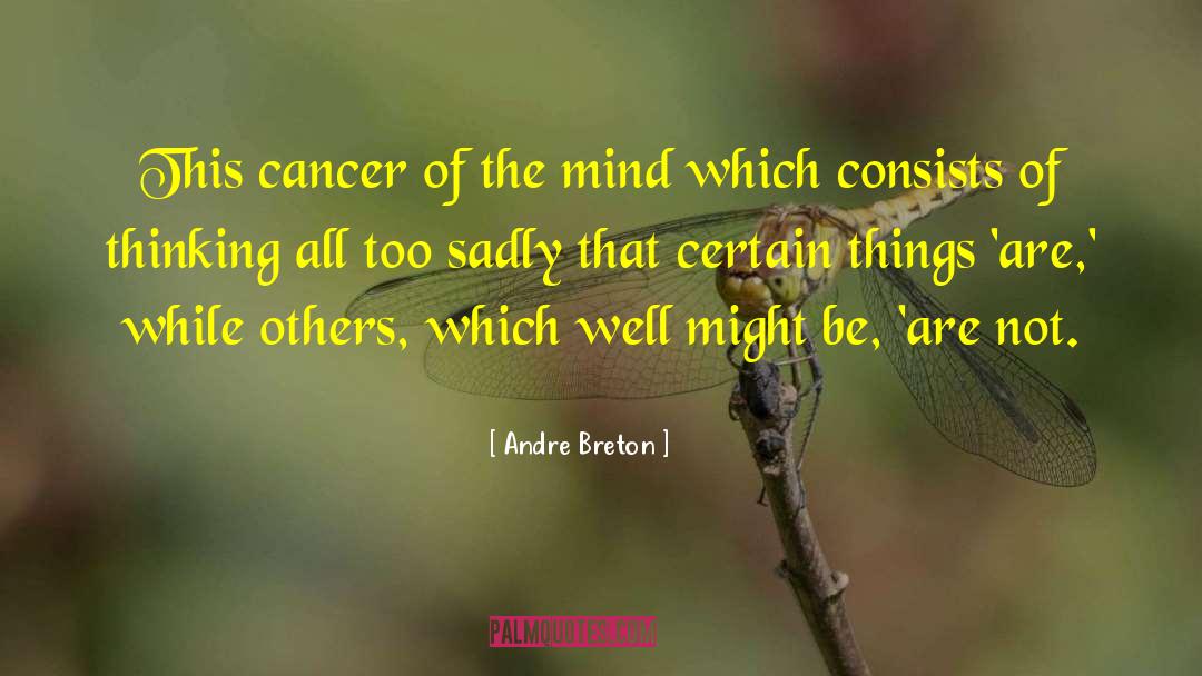Cancer Journey quotes by Andre Breton