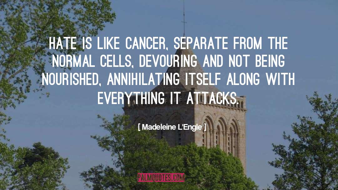 Cancer Survivor quotes by Madeleine L'Engle