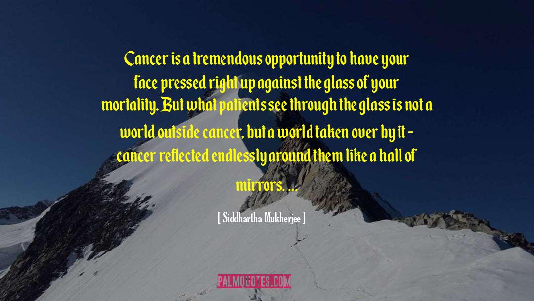 Cancer Survivor quotes by Siddhartha Mukherjee