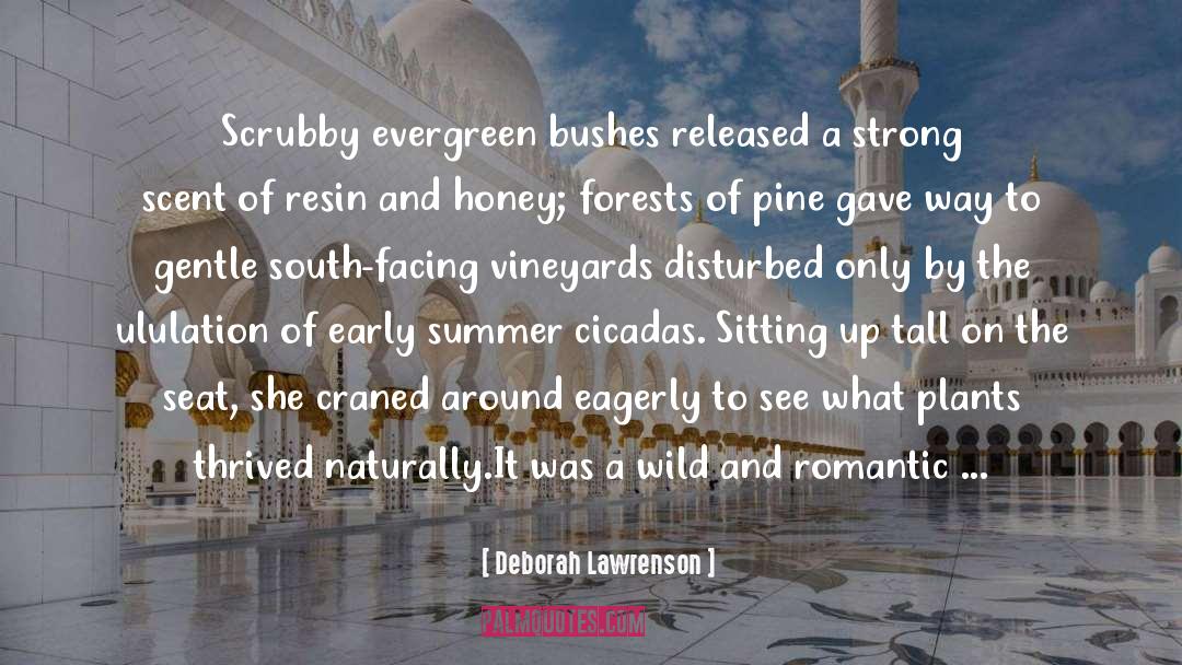 Candelabras Umbrella quotes by Deborah Lawrenson