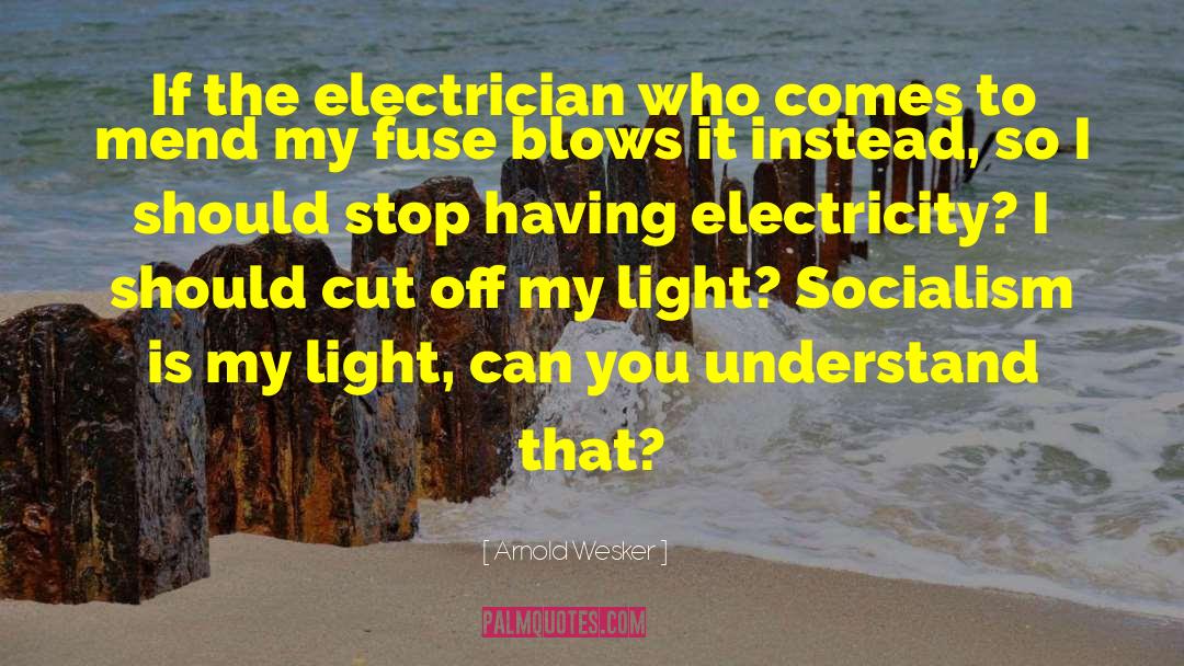 Candelori Electrician quotes by Arnold Wesker