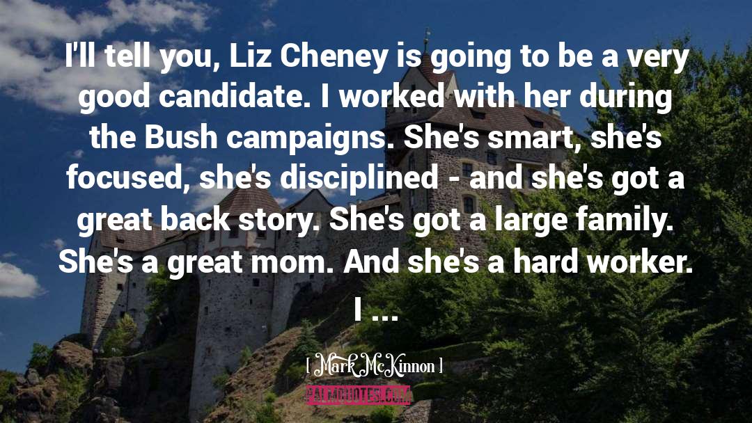 Candidate quotes by Mark McKinnon