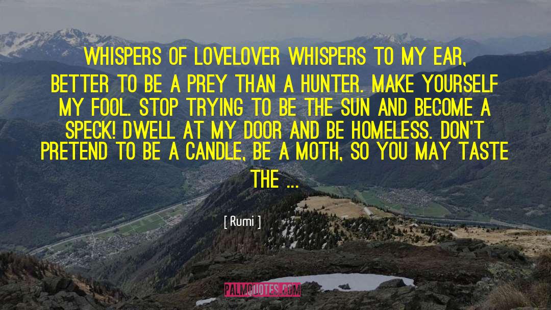 Candle quotes by Rumi