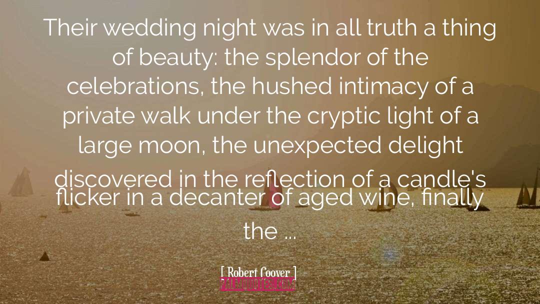 Candlelight quotes by Robert Coover