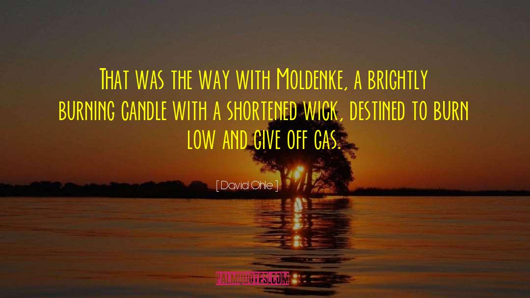 Candles Burning quotes by David Ohle