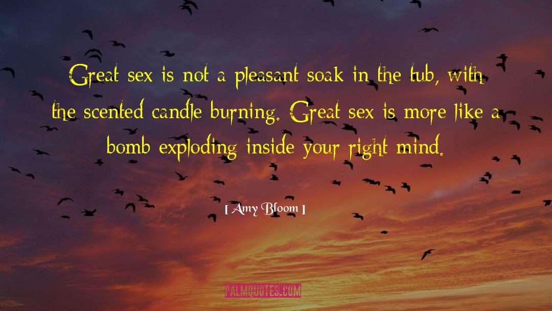 Candles Burning quotes by Amy Bloom