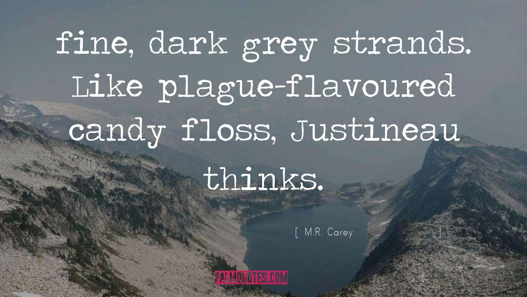 Candy Floss quotes by M.R. Carey