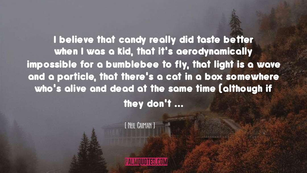 Candy Floss quotes by Neil Gaiman