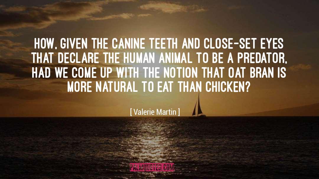 Canine quotes by Valerie Martin