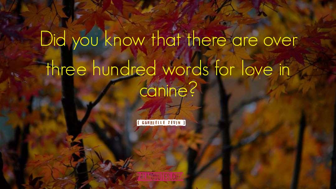 Canine quotes by Gabrielle Zevin