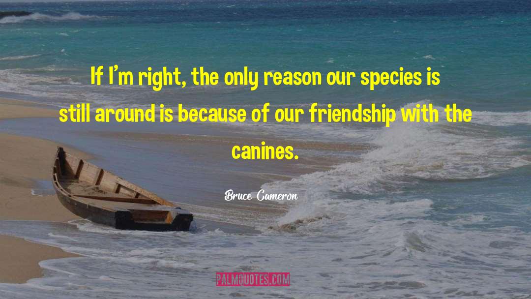 Canines quotes by Bruce Cameron