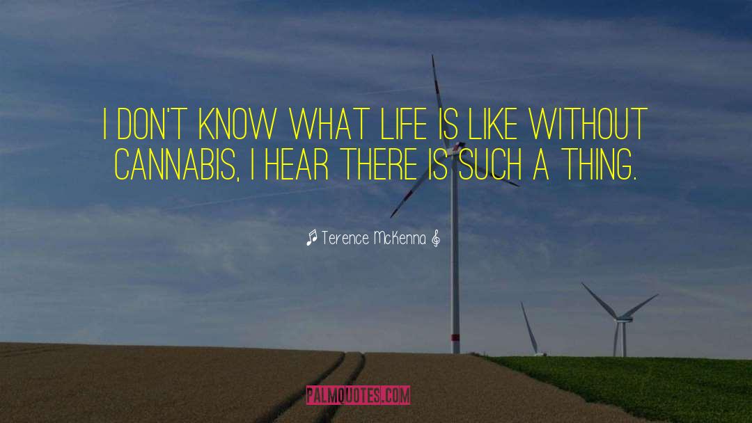 Cannabis quotes by Terence McKenna