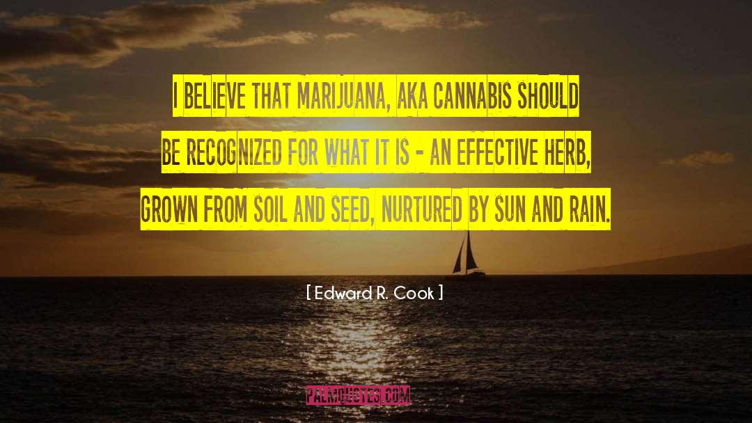 Cannabis quotes by Edward R. Cook