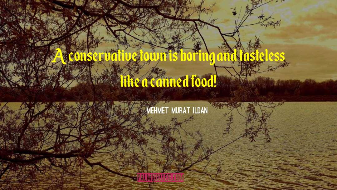 Canned Food quotes by Mehmet Murat Ildan