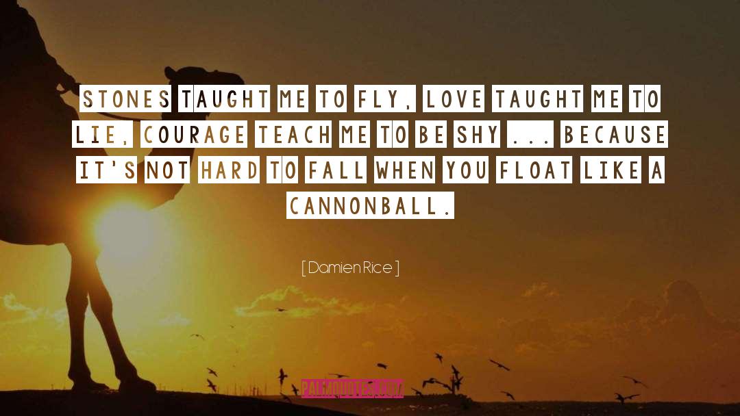 Cannonball quotes by Damien Rice