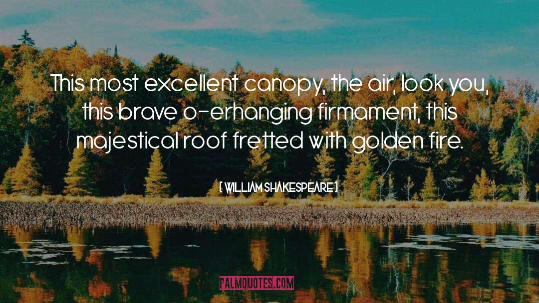Canopy quotes by William Shakespeare