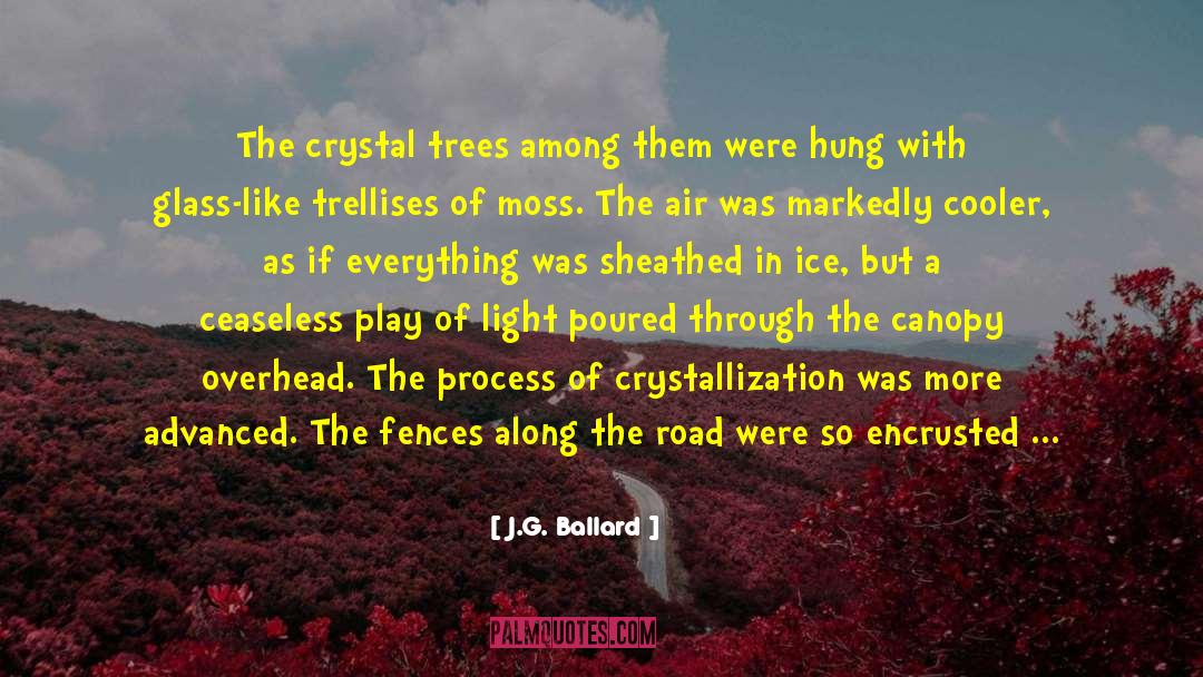 Canopy quotes by J.G. Ballard