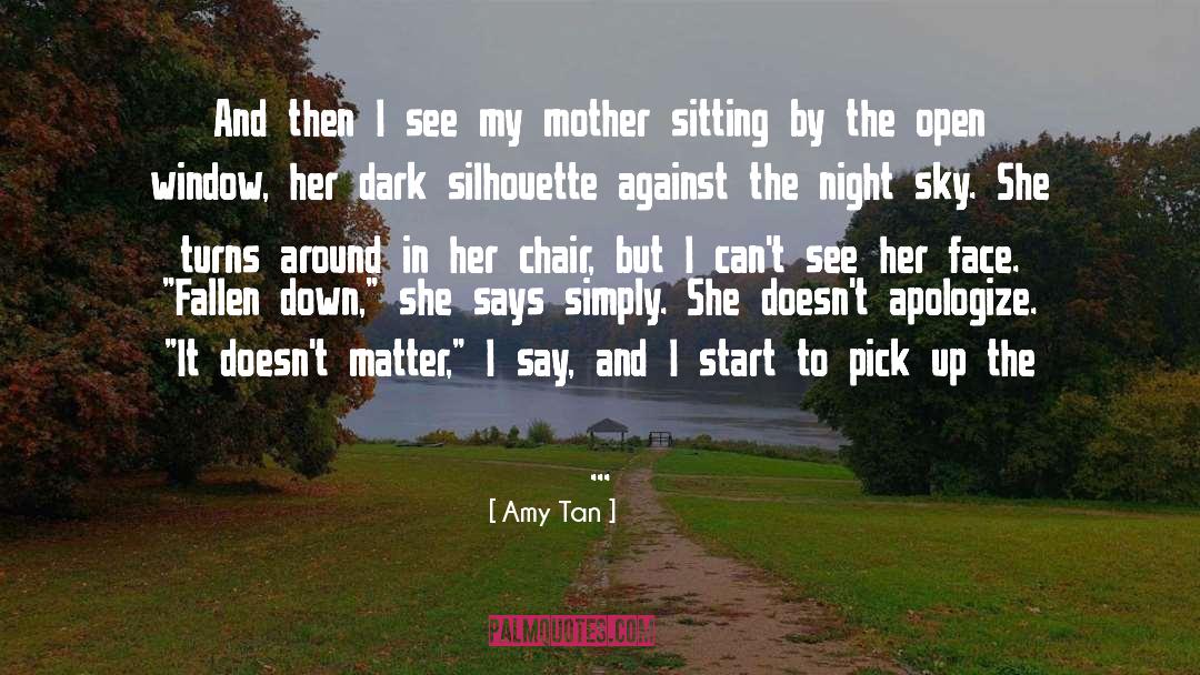 Cant Stop My Destiny quotes by Amy Tan