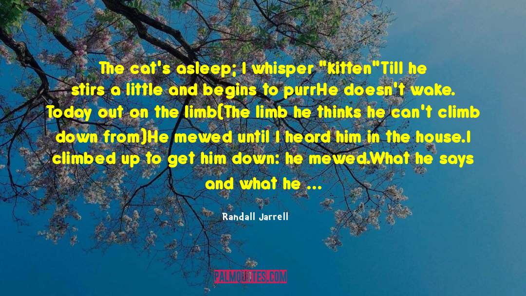 Cant Wake Up In The Morning quotes by Randall Jarrell
