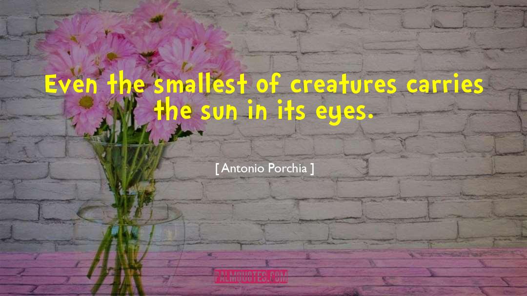 Canticle Of The Creatures quotes by Antonio Porchia