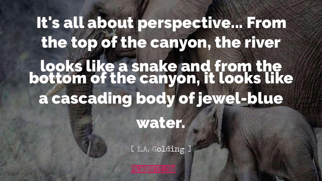 Canyon quotes by L.A. Golding