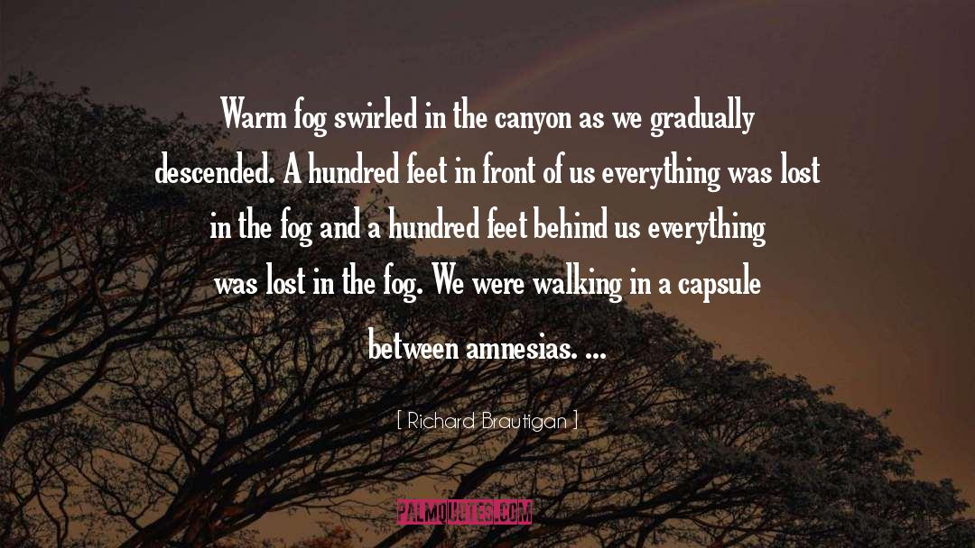 Canyon quotes by Richard Brautigan