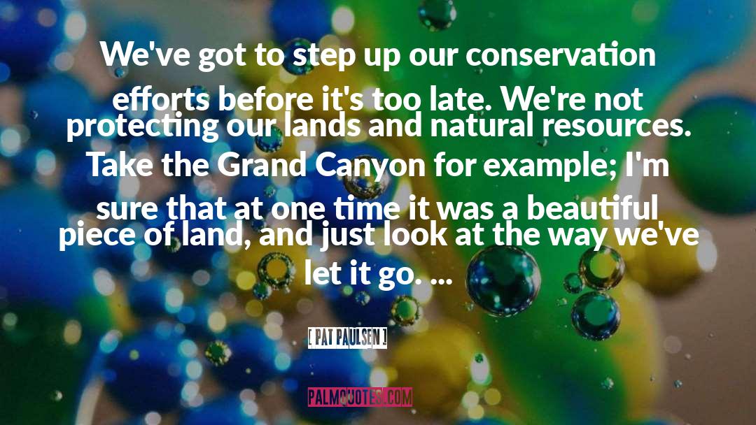 Canyon quotes by Pat Paulsen