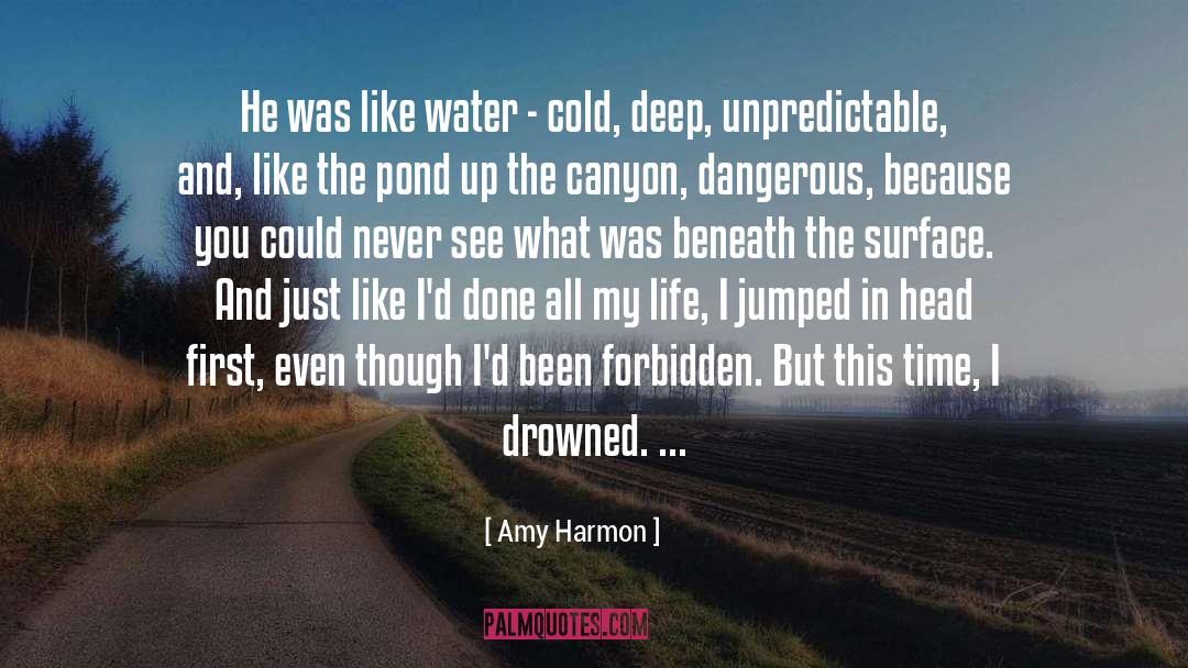 Canyon quotes by Amy Harmon