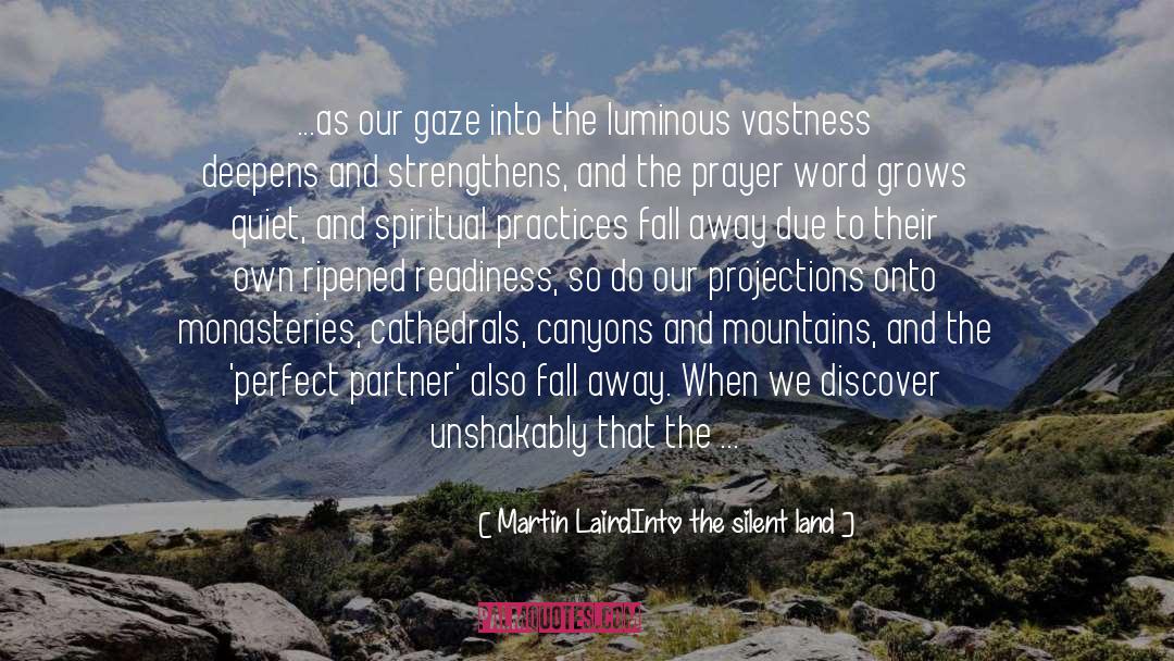 Canyons quotes by Martin LairdInto The Silent Land