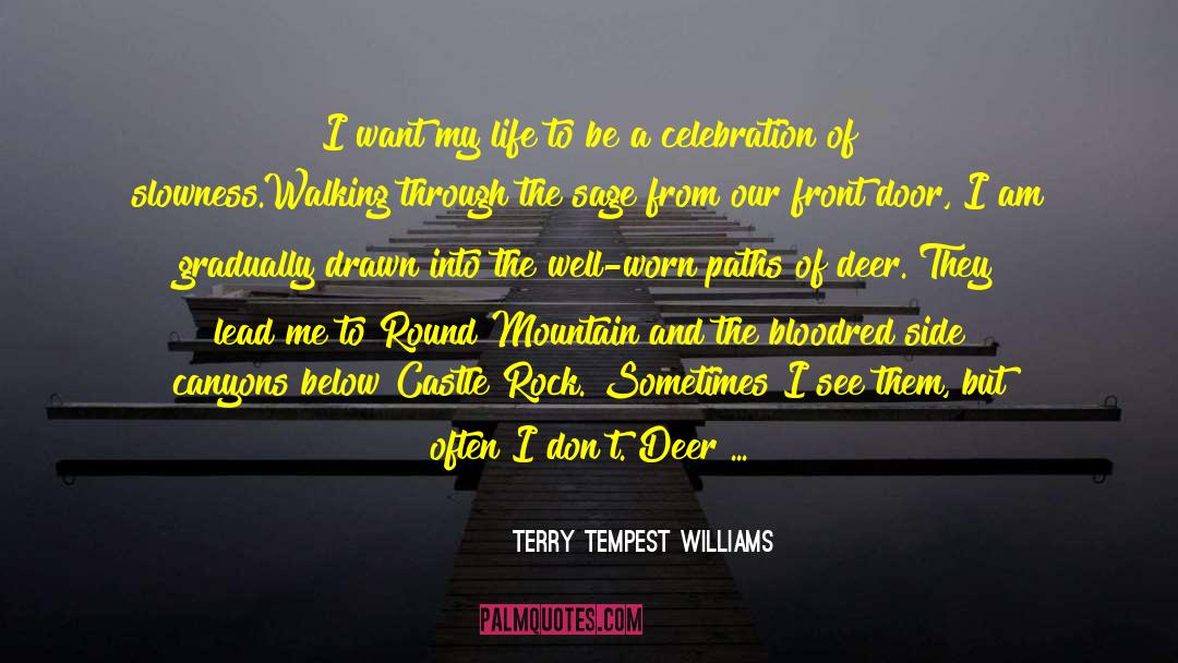 Canyons quotes by Terry Tempest Williams