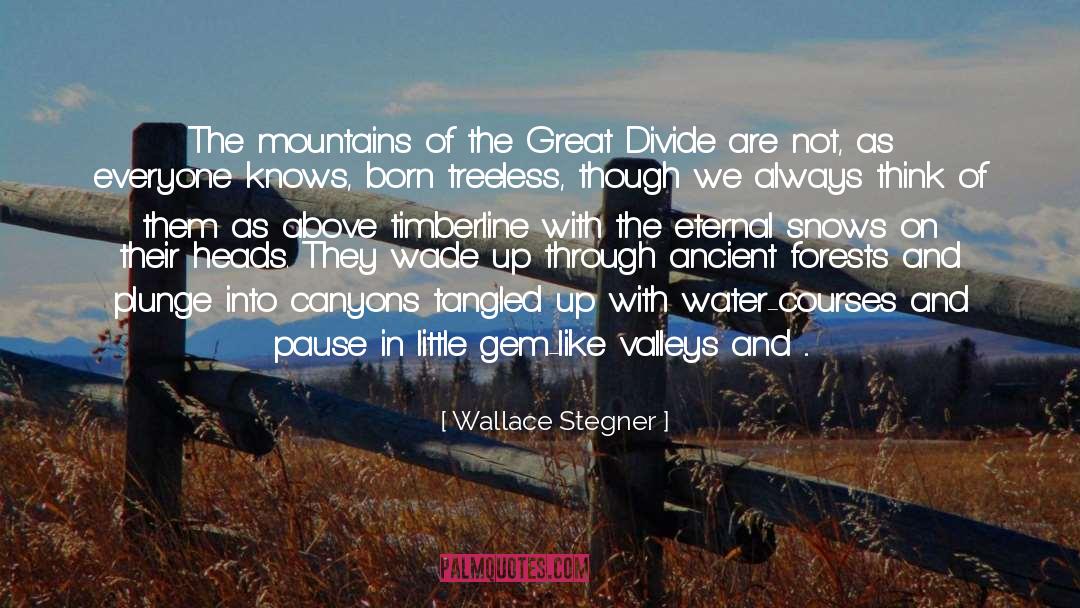 Canyons quotes by Wallace Stegner