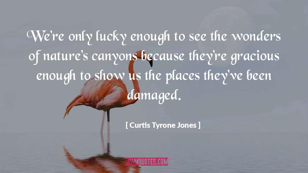 Canyons quotes by Curtis Tyrone Jones