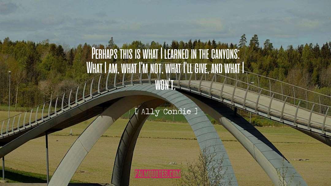 Canyons quotes by Ally Condie